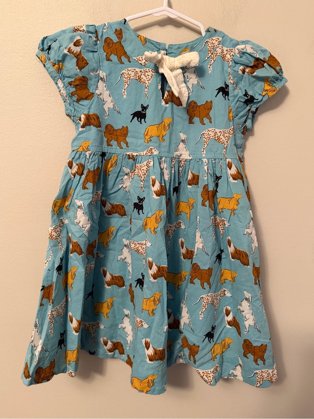 Pink Chicken Blue Dog Dress